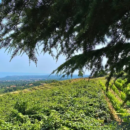 Tenuta Kiwi Dell'etna *