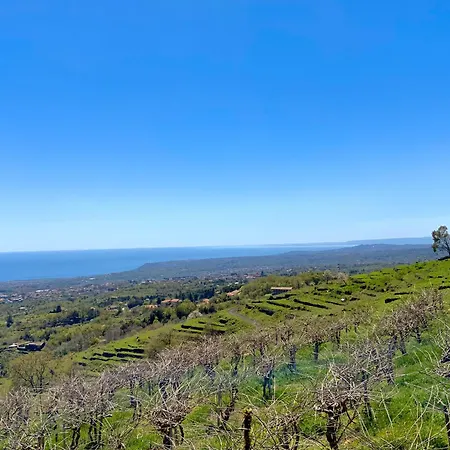 펜션 Tenuta Kiwi Dell'etna *