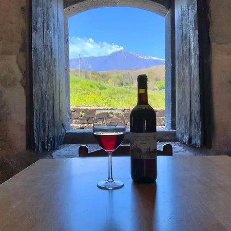 Tenuta Kiwi Dell'etna 밀로