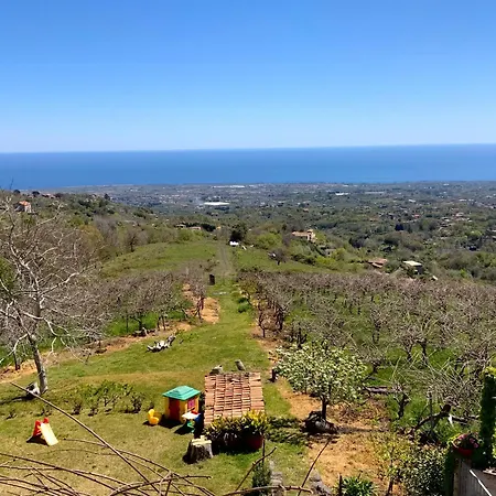 Tenuta Kiwi Dell'etna * 밀로