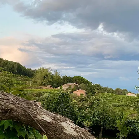 펜션 Tenuta Kiwi Dell'etna