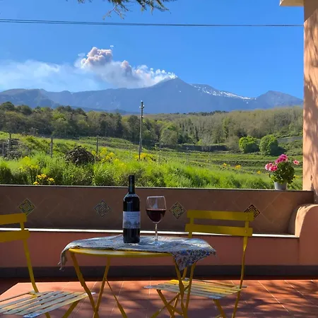 Tenuta Kiwi Dell'etna *