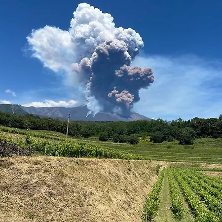 Tenuta Kiwi Dell'etna * 밀로