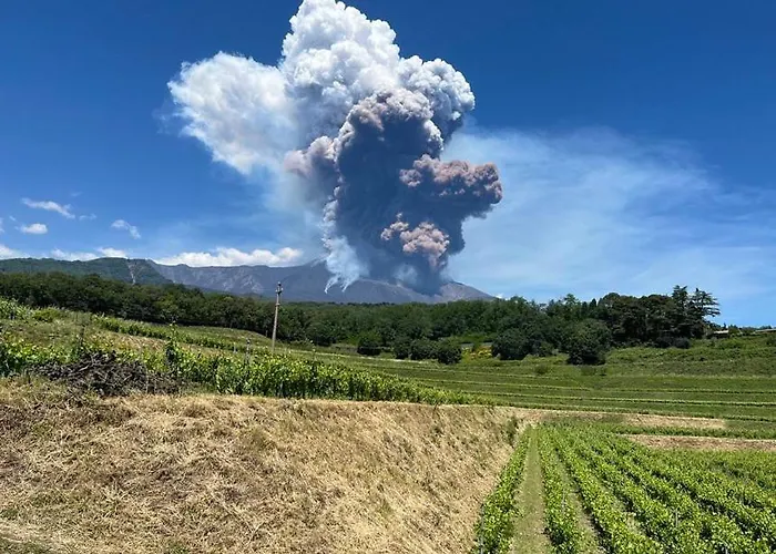 Tenuta Kiwi Dell'etna * Milo