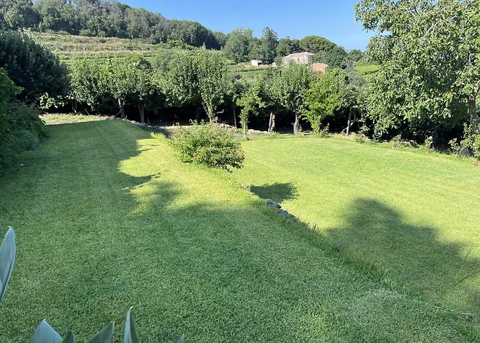 Tenuta Kiwi Dell'etna Σπίτι διακοπών *